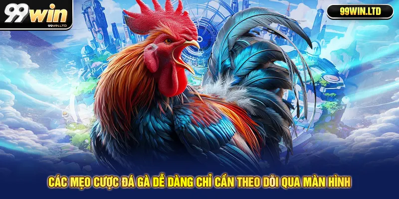 Các mẹo cược đá gà dễ dàng chỉ cần theo dõi qua màn hình