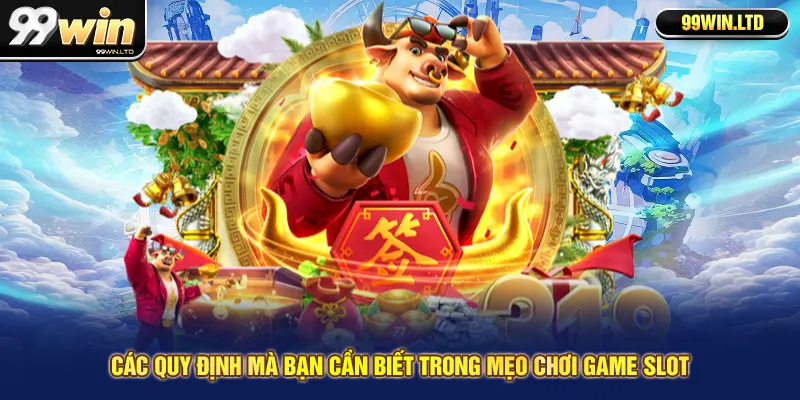 Các quy định mà bạn cần biết trong mẹo chơi game slot