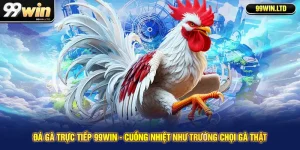Đá Gà Trực Tiếp 99win - Cuồng Nhiệt Như Trường Chọi Gà Thật