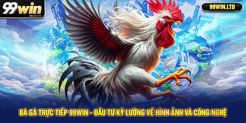 Đá gà trực tiếp 99win - Đầu tư kỹ lưỡng về hình ảnh và công nghệ