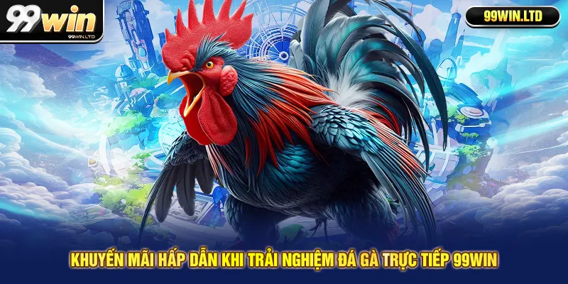 Khuyến mãi hấp dẫn khi trải nghiệm đá gà trực tiếp 99win