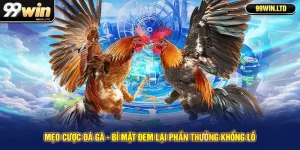 Mẹo Cược Đá Gà - Bí Mật Đem Lại Phần Thưởng Khổng Lồ