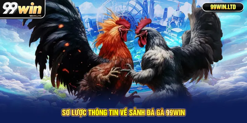 Sơ lược thông tin về sảnh đá gà 99win