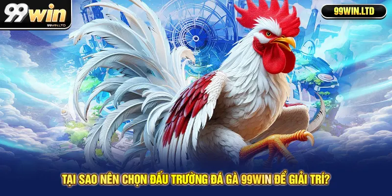 Tại sao nên chọn đấu trường đá gà 99win để giải trí?